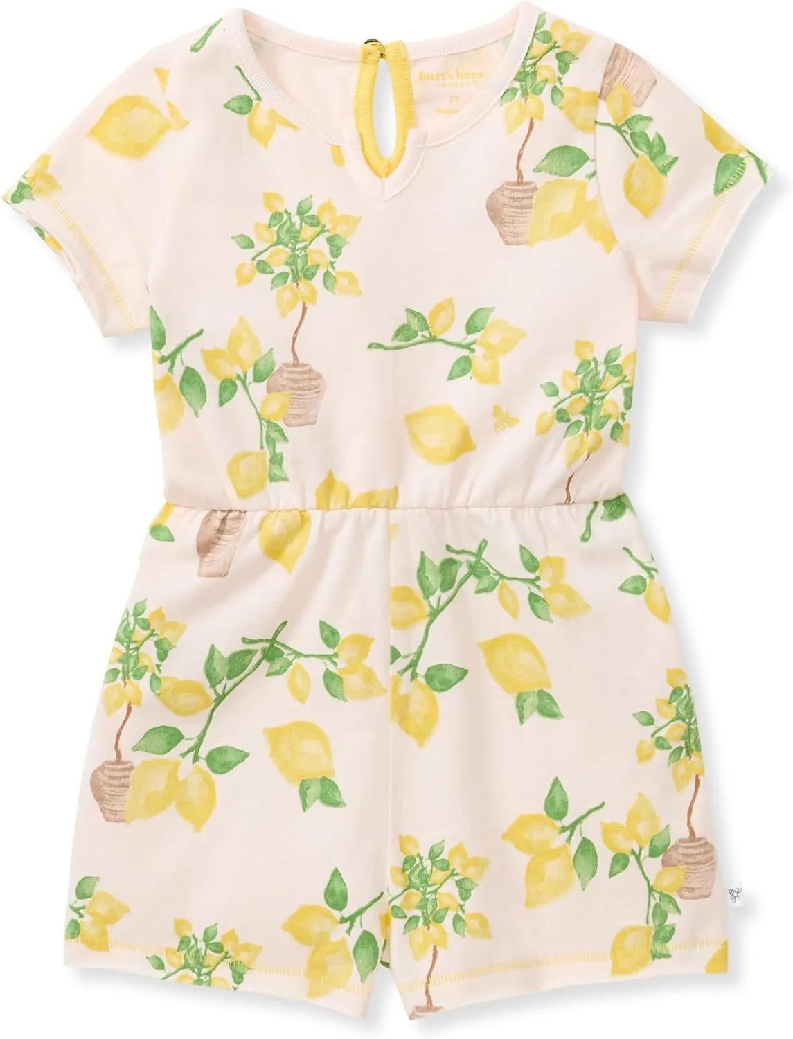 Burt's Bees Baby Baby Girls Romper, 100% Organic Cotton One-piece Shortall and Layette Set Girl Outfit