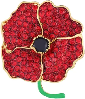 Poppy Brooch Pin Jewelry Memorial Day Jewelry Lest We Forget Enamel Poppy Brooch Pins for Women Men Memorial Day Veterans Gifts Red Poppy Pins Lapel Brooches